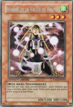 Card Gallery:Mist Valley Shaman | Yu-Gi-Oh! Wiki | Fandom Card Gallery:Mist Valley Shaman | Yu-Gi-Oh! Wiki | Fandom