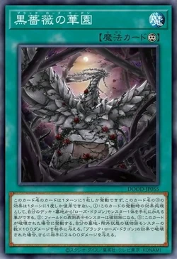 yugioh black garden deck Amazon.com: Complete Custom Deck for Yu-Gi-Oh! 5D's
