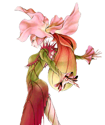 Card Gallery Botanical Girl Yu Gi Oh Wiki Fandom Card Gallery Botanical Girl Yu Gi Oh Wiki Fandom