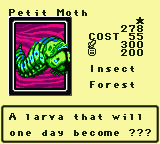 #278 "Petit Moth"