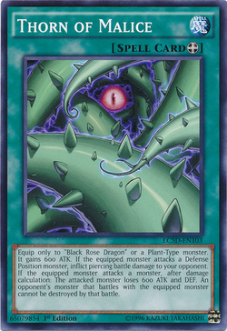 Spell Card | Yu-Gi-Oh! Wiki | Fandom