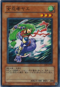 yugioh ninja structure deck Amazon.com: Generic Complete Custom Deck for Yu-Gi-Oh! ARC-V main image 1