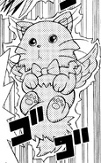 Fluffal Cat