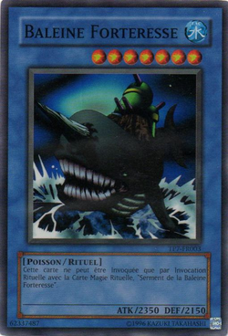 Card Gallery:Shark Fortress, Yu-Gi-Oh! Wiki