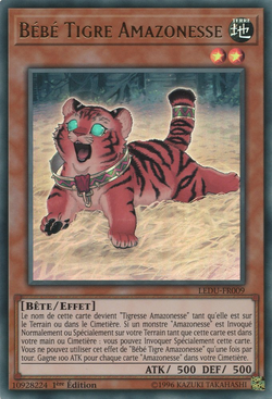 Card Gallery Amazoness Baby Tiger Yu Gi Oh Wiki Fandom