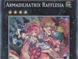Traptrix Rafflesia