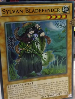 Giant Card | Yu-Gi-Oh! Wiki | Fandom