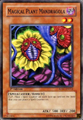 SDSC-EN012 (C) "Magical Plant Mandragola"