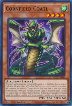 Illusion | Yu-Gi-Oh! Wiki | Fandom