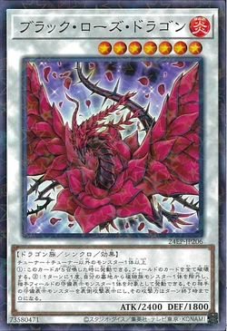 Card Gallery:Black Rose Dragon | Yu-Gi-Oh! Wiki | Fandom Card Gallery:Black Rose Dragon | Yu-Gi-Oh! Wiki | Fandom