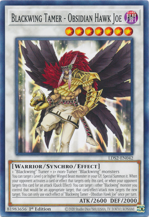 Blackwing Tamer - Obsidian Hawk Joe | Yu-Gi-Oh! Wiki | Fandom