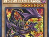 Red-Eyes Black Dragon