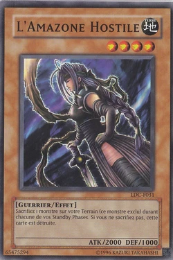 amazon com yugioh cards Amazon.com: Yugioh Cards Lot of 40 Commons, 10 Rares & 5 Holos (Basic pack)  : Toys & Games