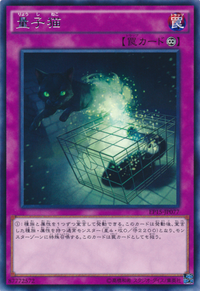 QuantumCat-EP15-JP-R