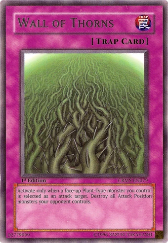 サボテン Beware of thorns 340?cb=20090715023640