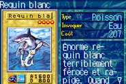 #060 "Great White" Requin blanc