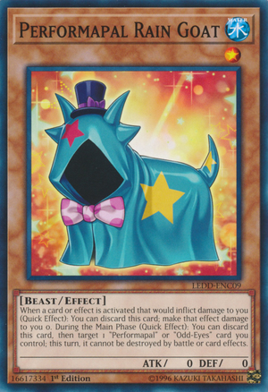 PerformapalRainGoat-LEDD-EN-C-1E.png
