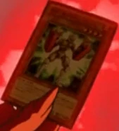 Battlin' Boxer Sparrer