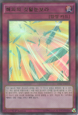 Set Card Galleries:20th Anniversary Pack 1st Wave (OCG-KR-1E Set Card Galleries:20th Anniversary Pack 1st Wave (OCG-KR-1E