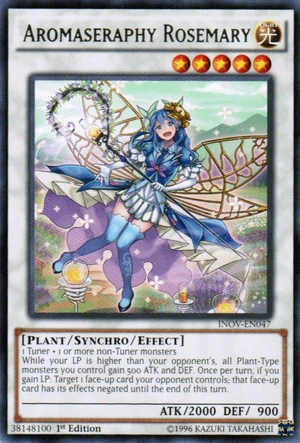 AromaseraphyRosemary-INOV-EN-R-1E