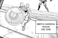 Beetle Gardna