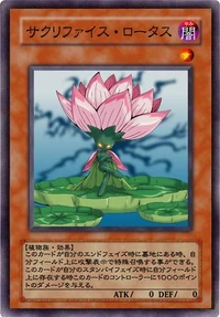 sinしん  エグゾト ロータス sinしん エグゾト ロータス sinしん エグゾト ロータス 楽天市場