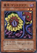 SD16-JP015 (C) Structure Deck: Lord of the Magician