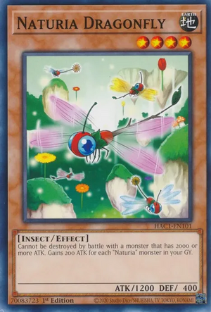 NaturiaDragonfly-HAC1-EN-C-1E.png
