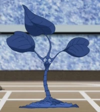 IvyToken-JP-Anime-5D-NC