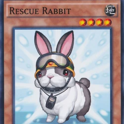 yugioh discard deck Plant Synchro Deck Duality Sirocco Stardust Dragon Formula Yugioh