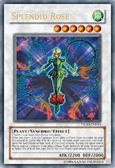 Card Gallery:Splendid Rose | Yu-Gi-Oh! Wiki | Fandom