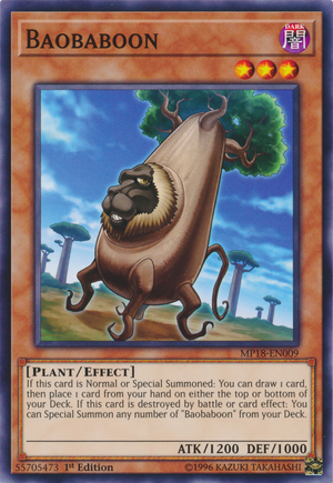 Baobaboon-MP18-EN-C-1E.png
