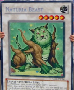 Set Card Galleries:Attack of the Giant Card!! (TCG-EN-UE) | Yu-Gi-Oh! Wiki  | Fandom