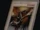 Curse of Dragon (Toei)