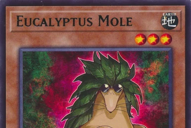 Koala | Yu-Gi-Oh! Wiki | Fandom