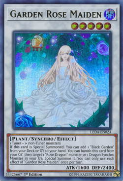 Card Gallery:Garden Rose Maiden | Yu-Gi-Oh! Wiki | Fandom Card Gallery:Garden Rose Maiden | Yu-Gi-Oh! Wiki | Fandom