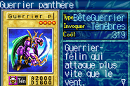 #745 "Panther Warrior" Guerrier panthère