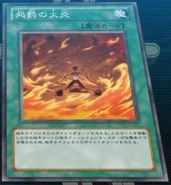 Punishing Fire