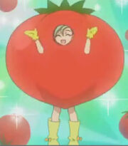 Tomato Tori