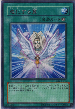 Card Gallery:Transcendent Wings | Yu-Gi-Oh! Wiki | Fandom Card Gallery:Transcendent Wings | Yu-Gi-Oh! Wiki | Fandom