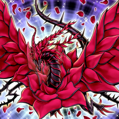 Drago Rosa Nera | Yugioh Italian Wiki | Fandom