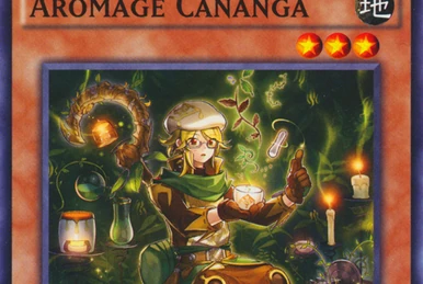 fire warrior deck yugioh Amazon.com: Generic Complete Custom Deck for Yu-Gi-Oh! main image 1