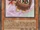 Kuribon
