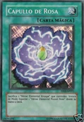 Capullo de rosa