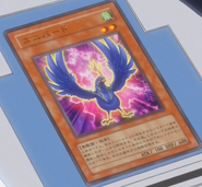 Carta (Yu-Gi-Oh! 5D's)