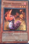 Gusano ardiente