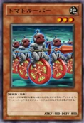 Caballero tomate