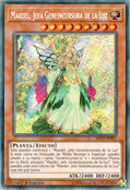 Generaider Sunavalon 2021 Alfonso44 Yu Gi Oh Decks Wiki Fandom