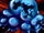 Ameba