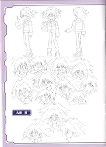 Diseño Sho